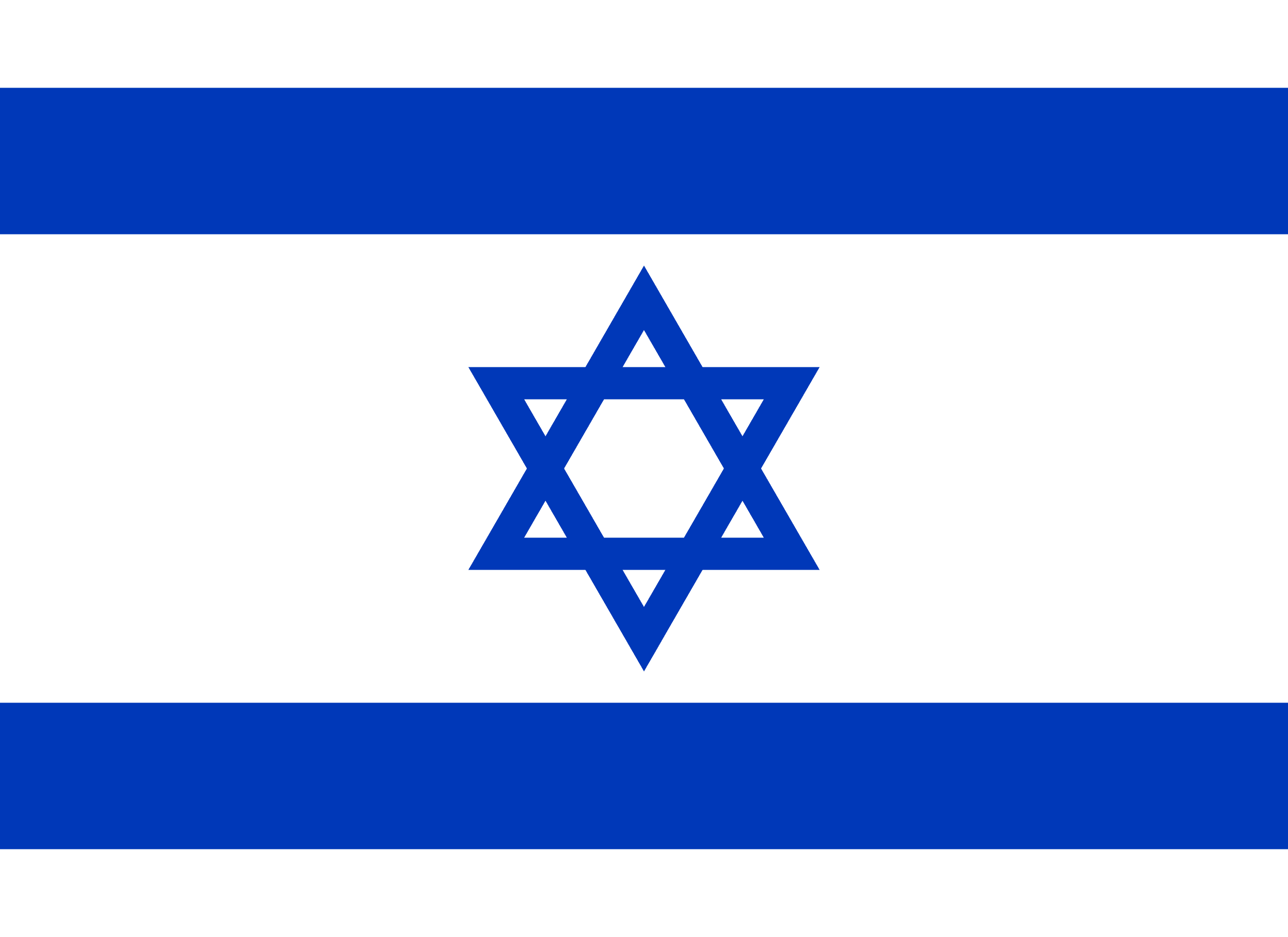 Israel Flag